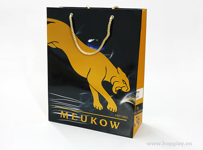 Túi Xách Giấy PB014